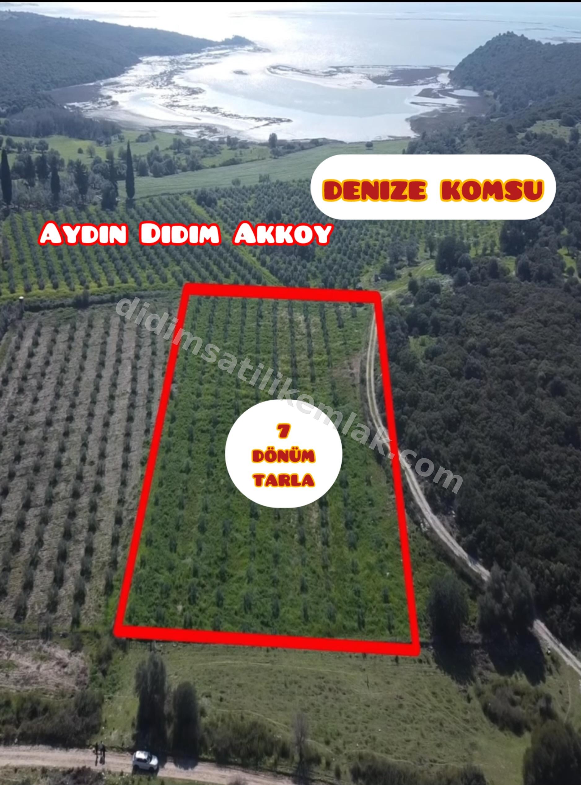 Aydin Didim Akkoy 7 donum denize komsu tarla