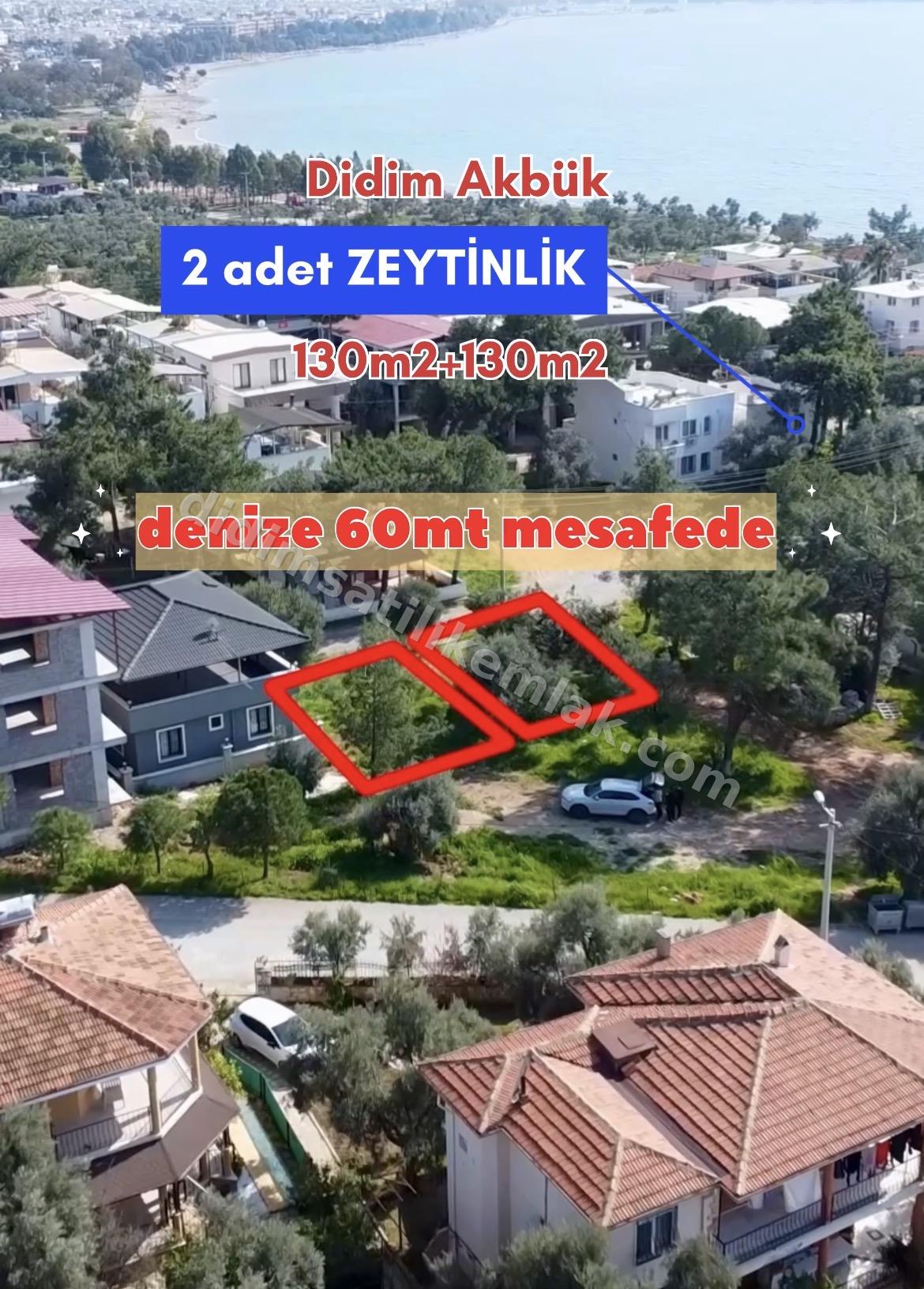 DSE Emlaktan Didim Akbukte denize komsu 2 adet zeytinlik